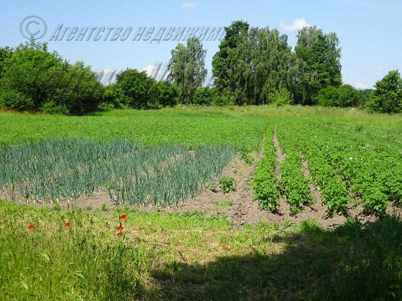 Купить Дом В Каменице Жировецкой Брестский Район